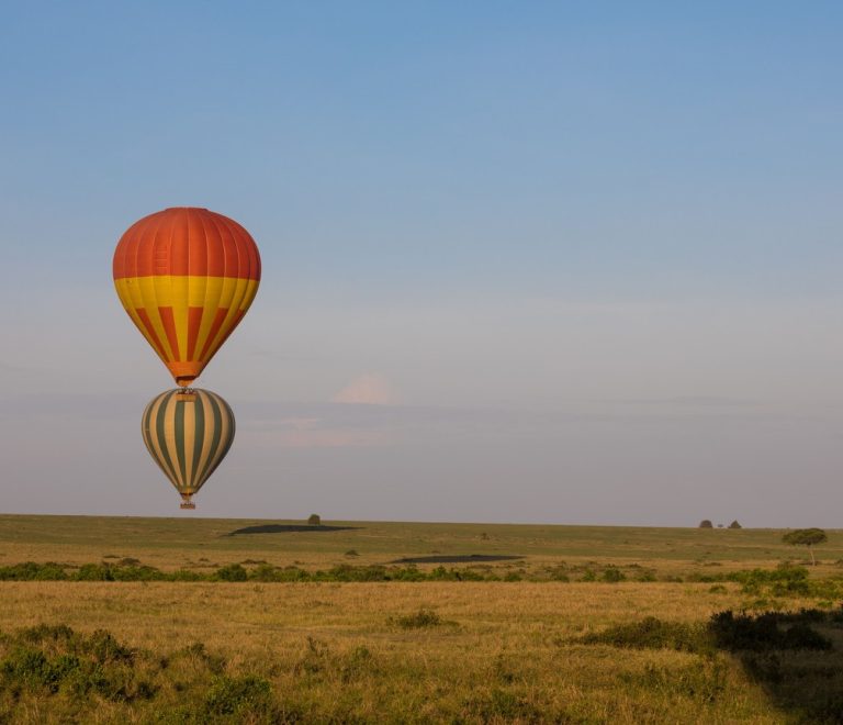 Multiple colorful hot air balloons rising over the Masai Mara plains at sunrise with wildebeest herds below
