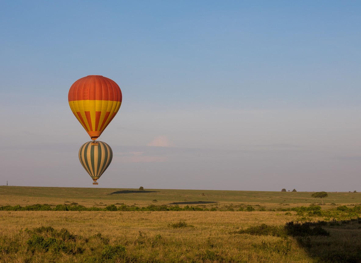 Multiple colorful hot air balloons rising over the Masai Mara plains at sunrise with wildebeest herds below