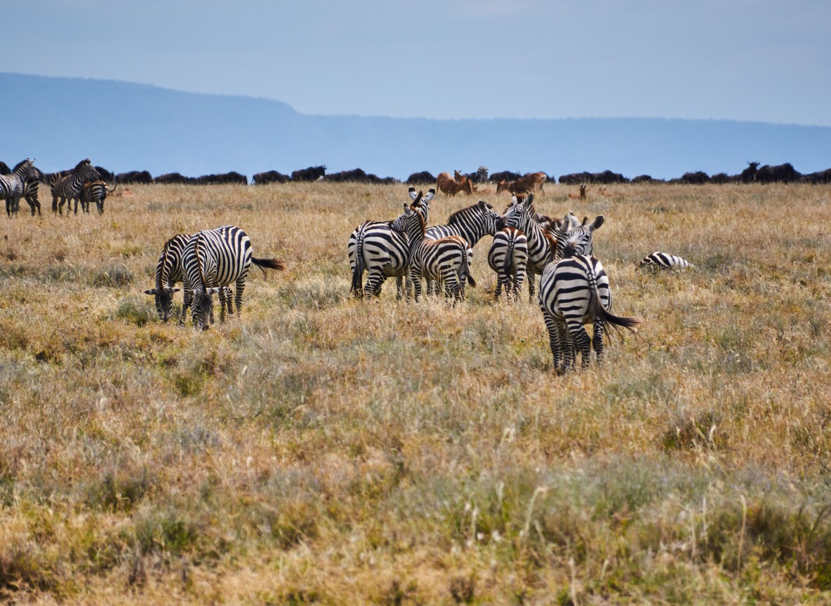 Masai Mara Weather Complete Monthly Guide