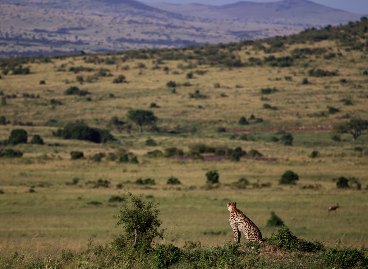 Matira Camp Junction Of Mara And Talek Rivers Maasai Mara