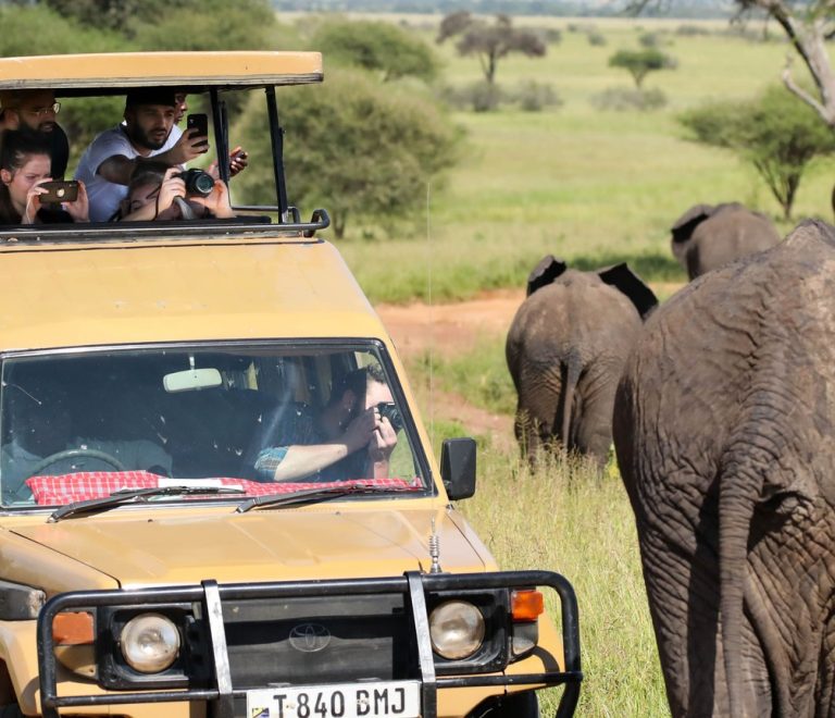 A family with young children riding in a safari vehicle with the pop-up roof open on a dirt track in Kenya