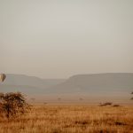 multiple hot air balloons rising over the Masai Mara plains at sunrise with wildebeest herds below