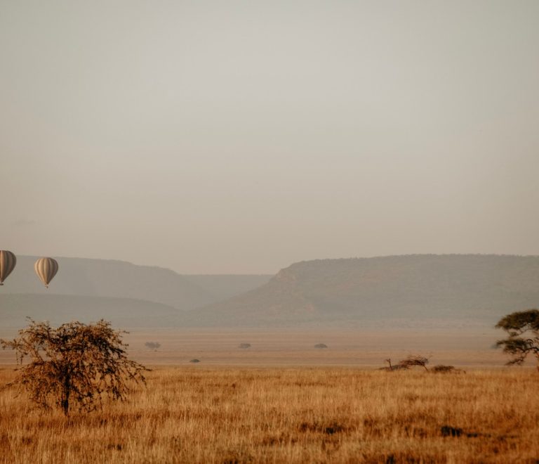 multiple hot air balloons rising over the Masai Mara plains at sunrise with wildebeest herds below