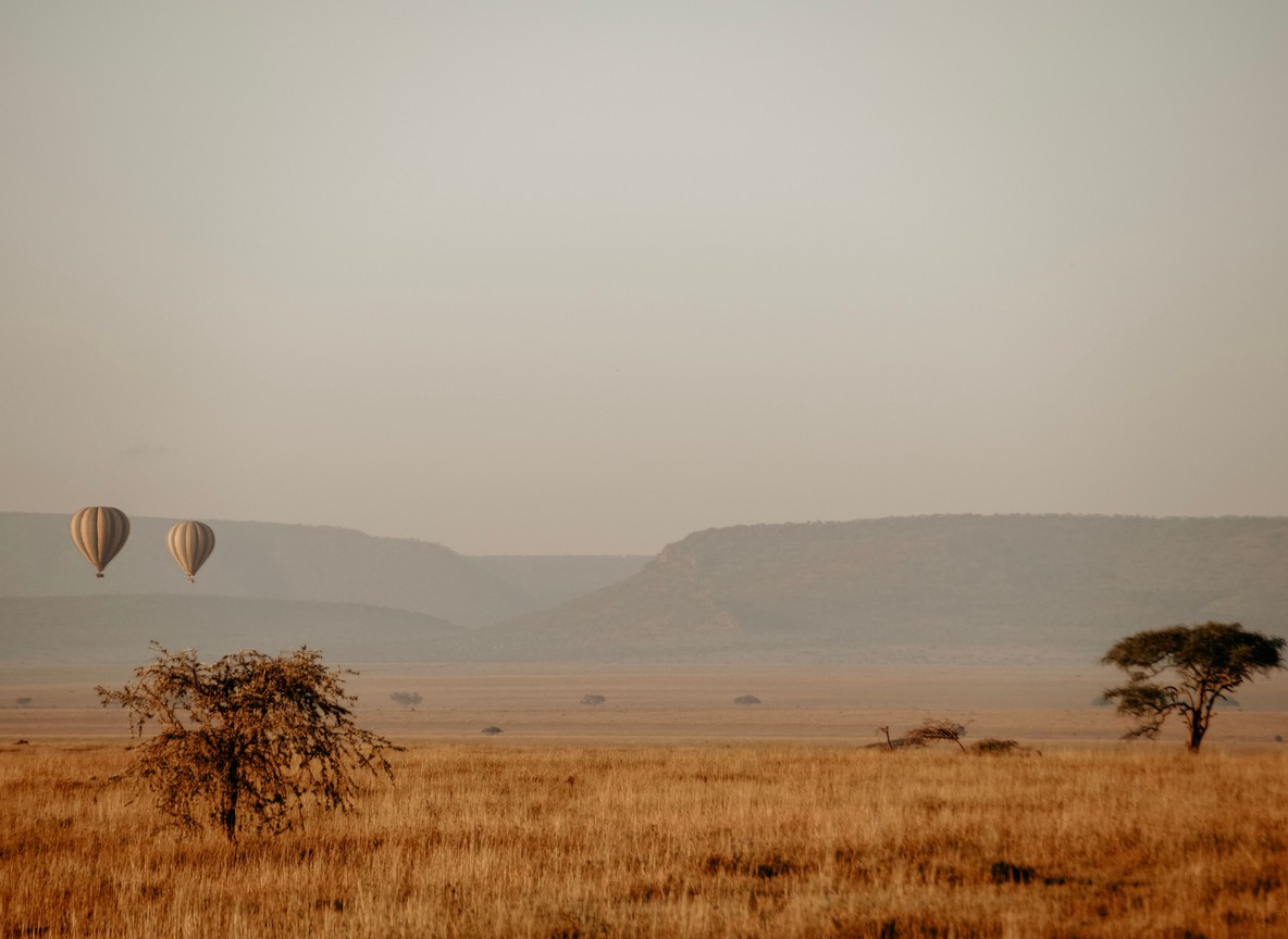 multiple hot air balloons rising over the Masai Mara plains at sunrise with wildebeest herds below