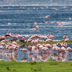 Ngorongoro Crater