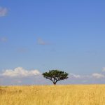 Night Game Drives Kenya