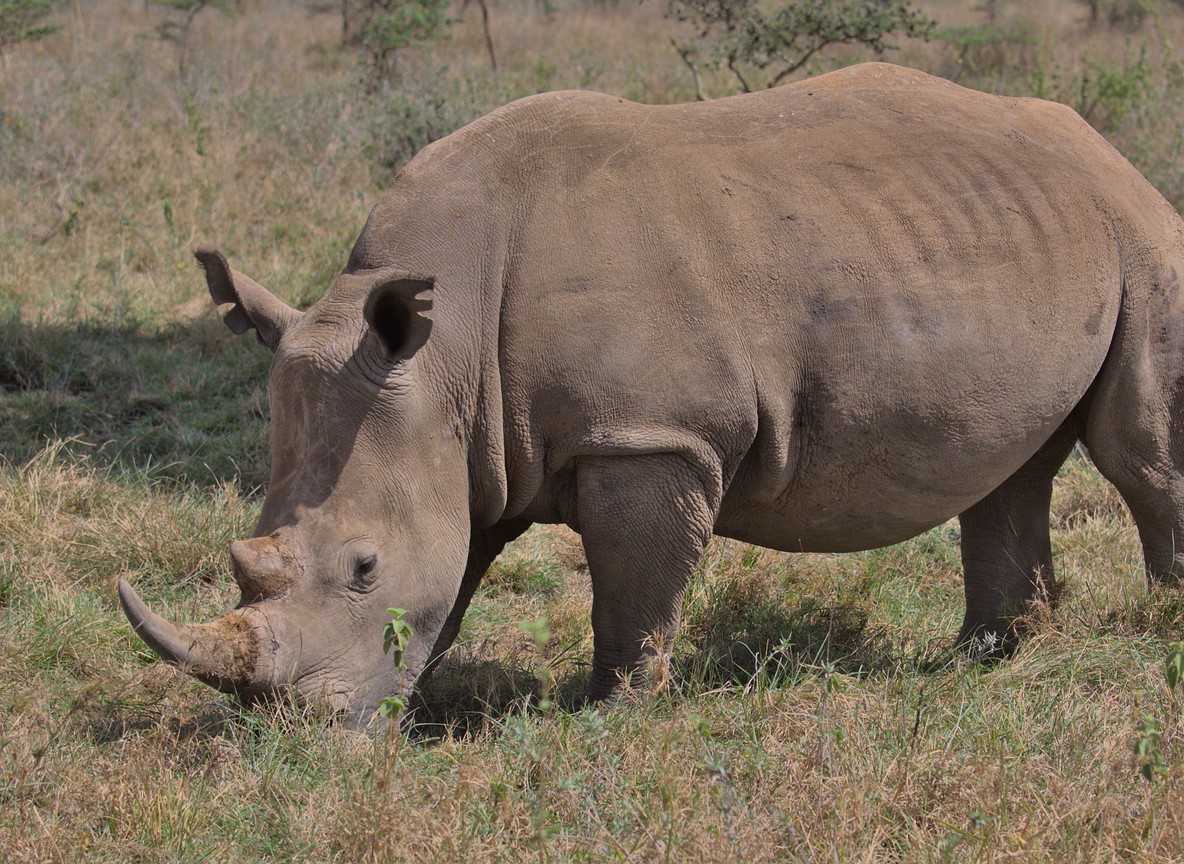 Northern Kenya Cultural Safari Guide Community Visits Done Responsibly