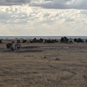 Ol Pejeta Conservancy