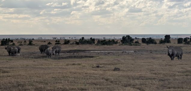 Ol Pejeta Conservancy