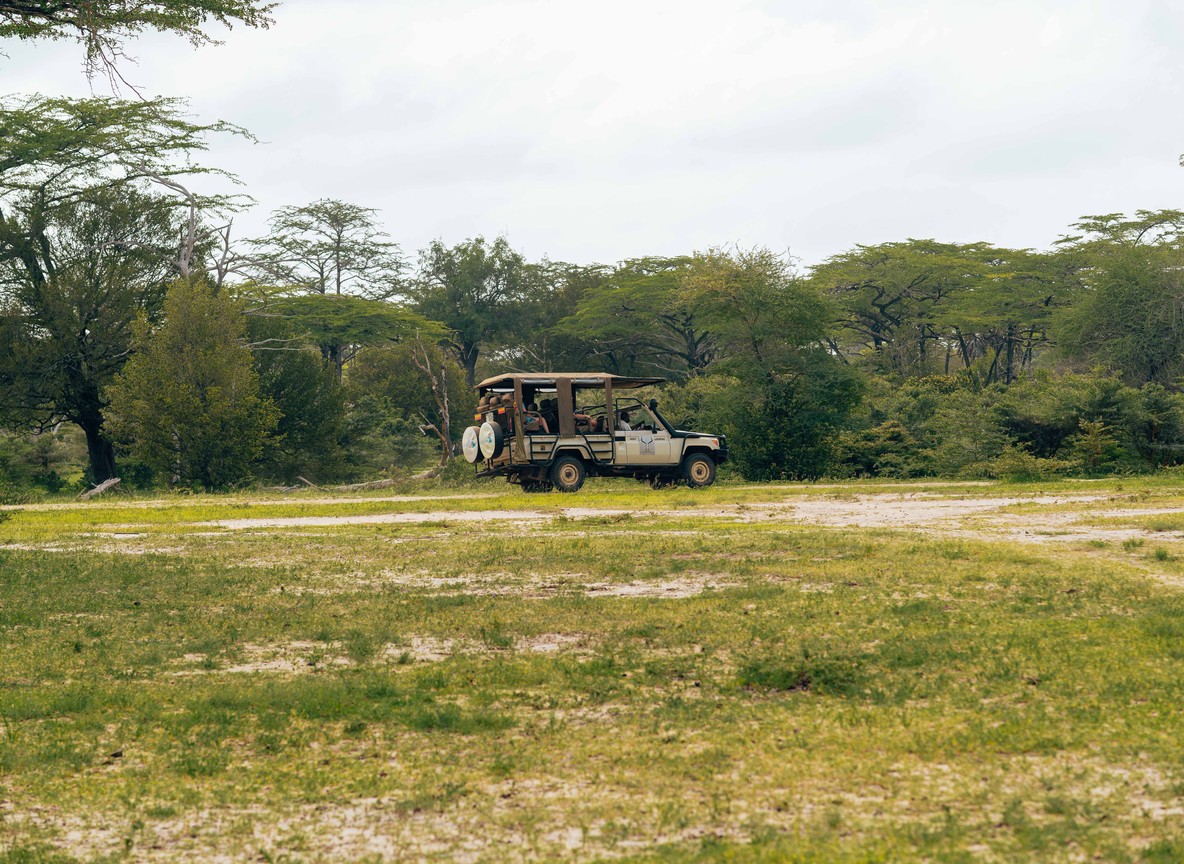 a beanbag-mounted camera lens resting on a low Land Cruiser window frame at sunrise, Naboisho Conservancy, Masai Mara
