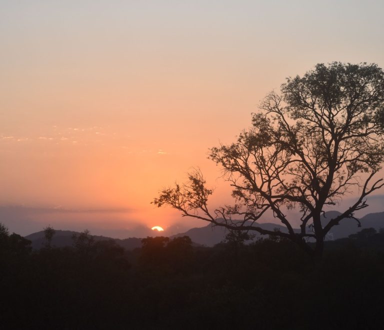 a newlywed couple sharing a toast at a candlelit bush dinner table at a Porini conservancy camp in the Masai Mara