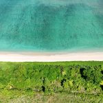 Aerial view of a white-sand Kenya coast beach with turquoise water and green coastal vegetation