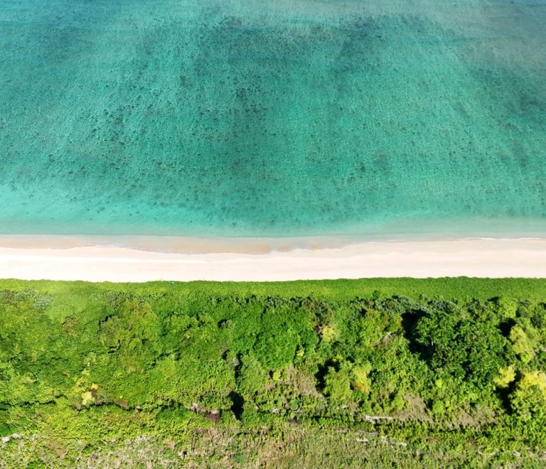 Aerial view of a white-sand Kenya coast beach with turquoise water and green coastal vegetation