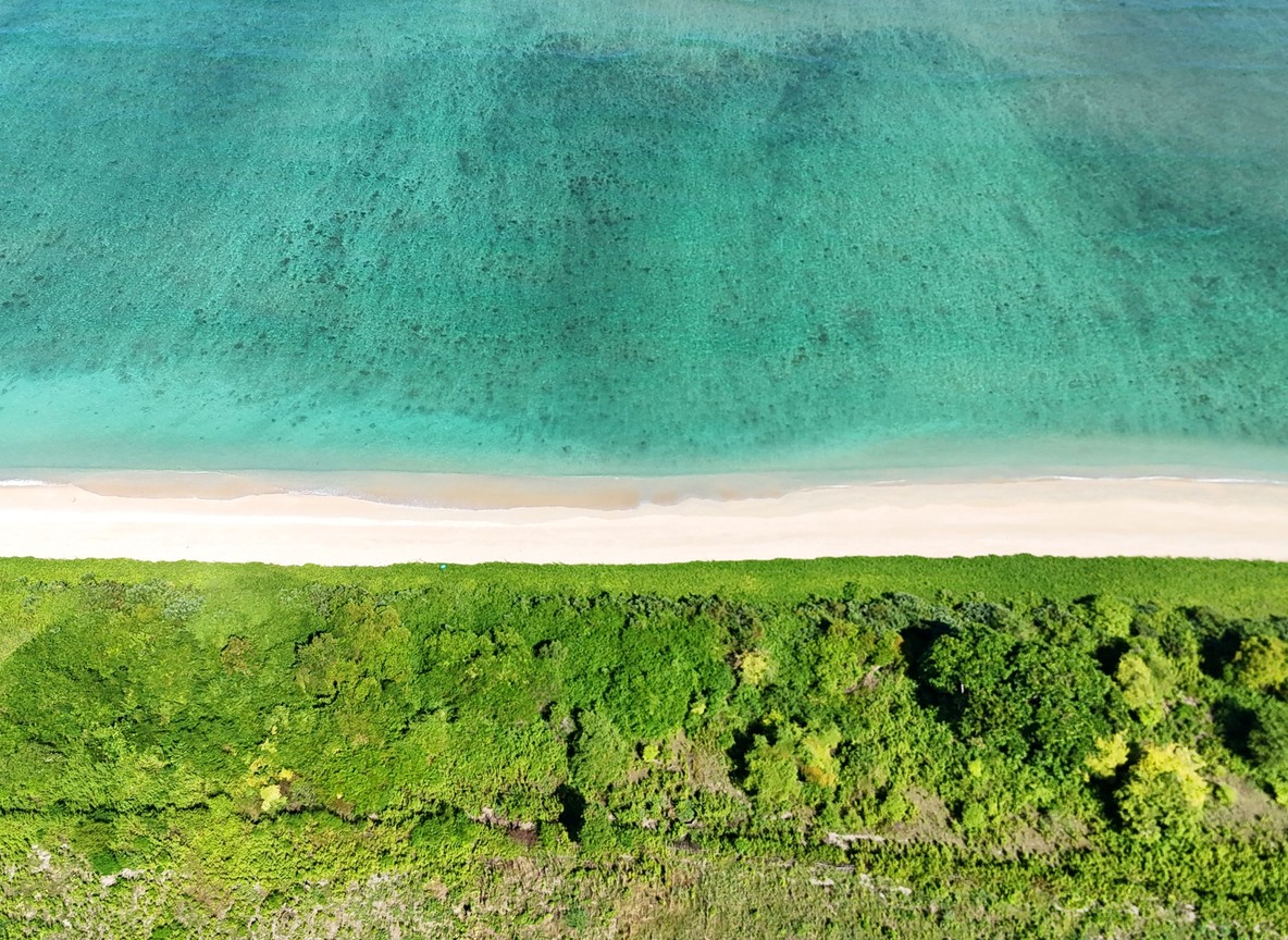 Aerial view of a white-sand Kenya coast beach with turquoise water and green coastal vegetation