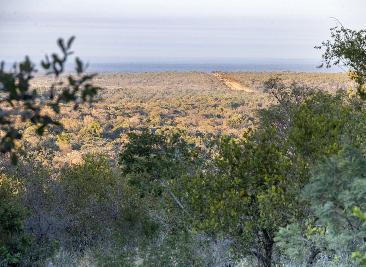 Aerial view of Laikipia's open savanna and acacia woodland north of Mount Kenya