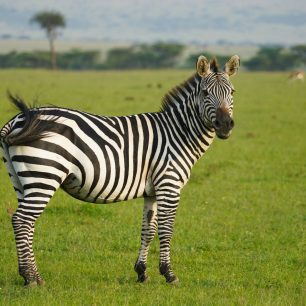 Serengeti National Park