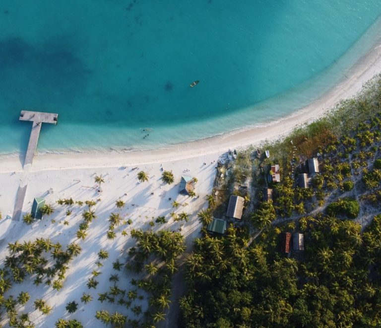 A dhow sailing boat silhouetted against a sunset off Zanzibar's east coast with palm trees on the shoreline
