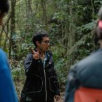 A ranger guide leading trekkers along a misty forest trail toward a mountain gorilla family in Bwindi Impenetrable National Park, Uganda