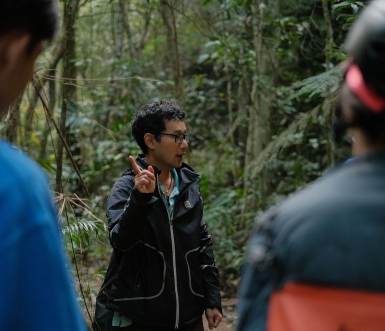 A ranger guide leading trekkers along a misty forest trail toward a mountain gorilla family in Bwindi Impenetrable National Park, Uganda