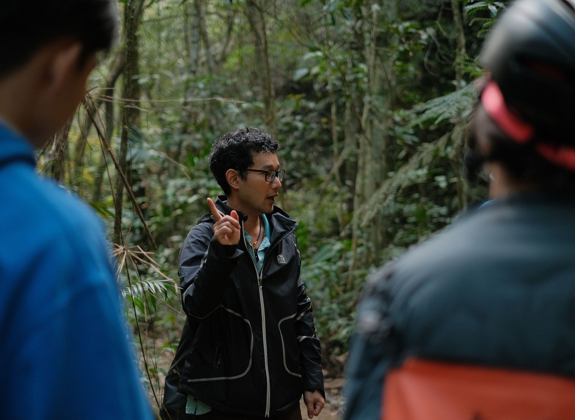 A ranger guide leading trekkers along a misty forest trail toward a mountain gorilla family in Bwindi Impenetrable National Park, Uganda