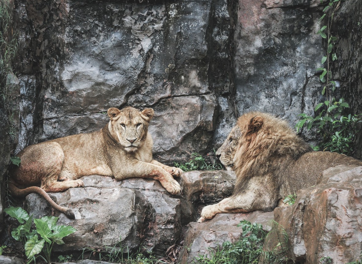 A returning guest and camp manager reviewing a booking file together on a tented camp deck overlooking the Maasai Mara