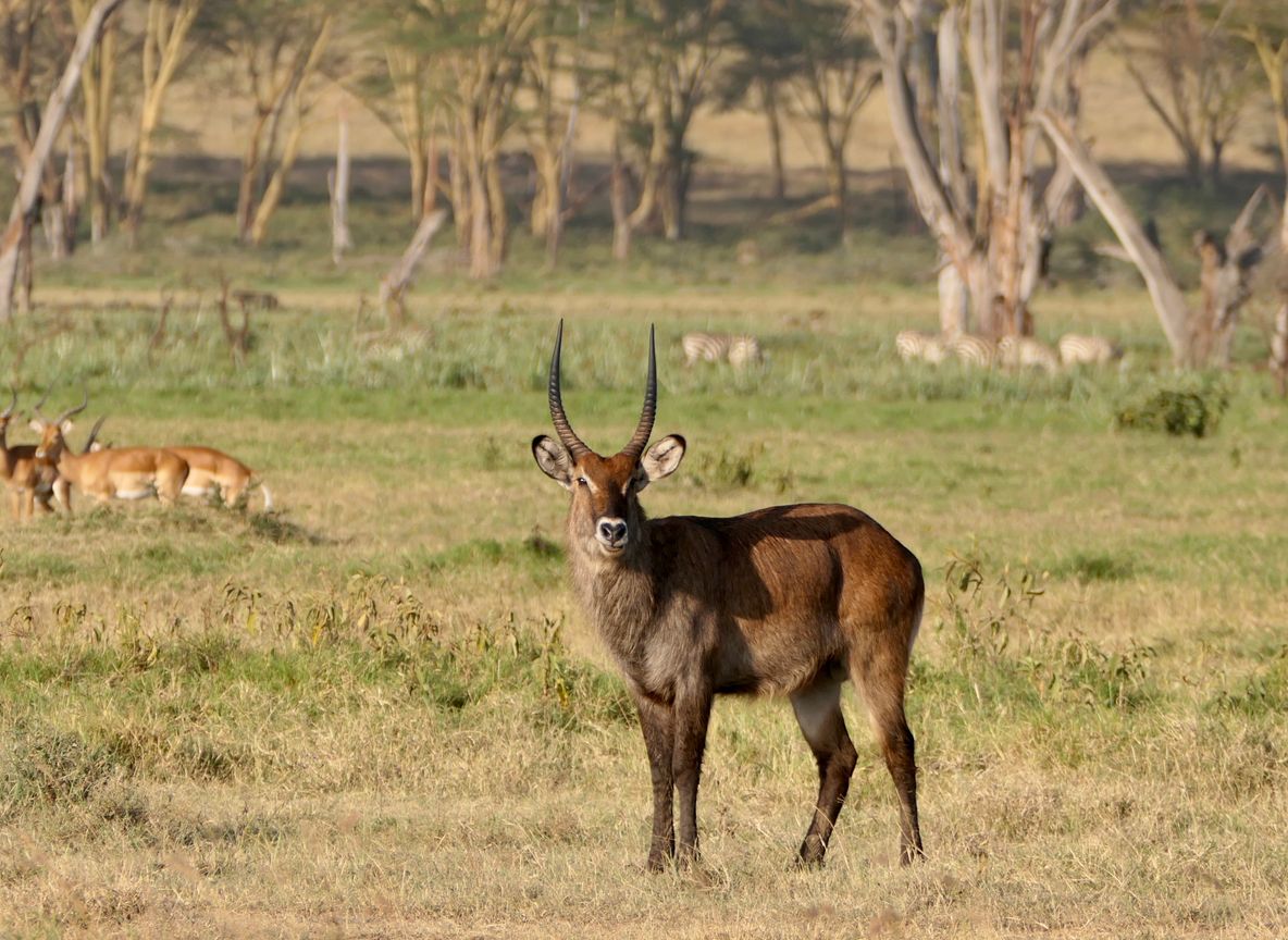 Cliffs of Hell's Gate National Park, Kenya