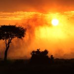 Sunrise game drive in the Masai Mara