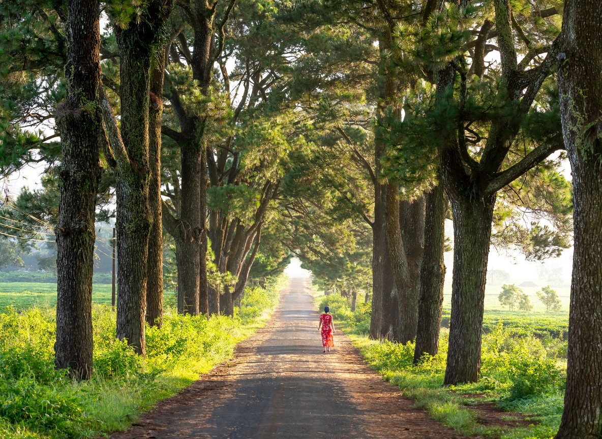 a solo woman traveler walking confidently along a quiet, tree-lined Karen street in daylight with a small daypack