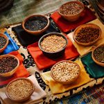Vegetarian and Jain Safari Food Guide for Tamil Speakers -- Photo by Kumaran Sonof Vijayan on Pexels