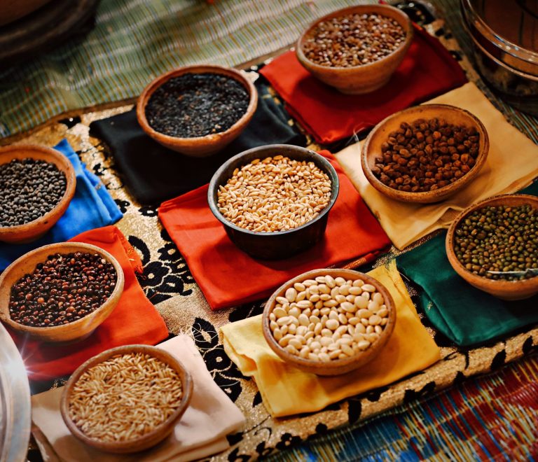 Vegetarian and Jain Safari Food Guide for Tamil Speakers -- Photo by Kumaran Sonof Vijayan on Pexels