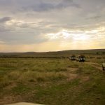 Kenya Safari Planning for Korean Speakers: A Full Guide -- Photo by Edgar Okioga on Pexels