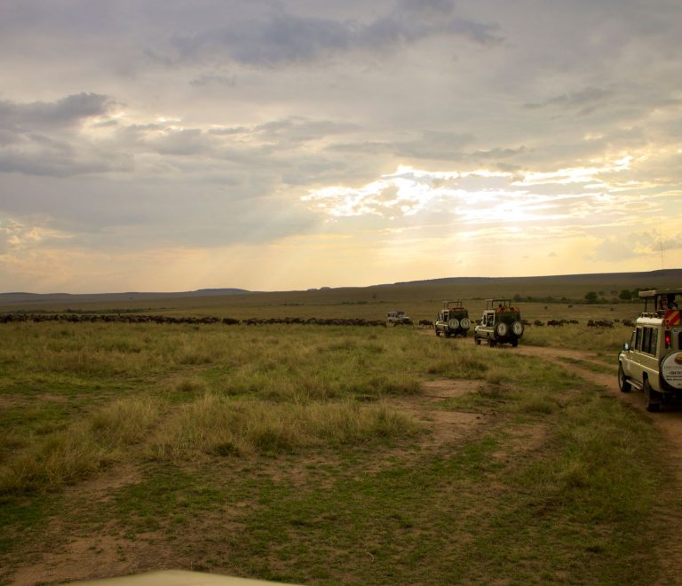 Kenya Safari Planning for Korean Speakers: A Full Guide -- Photo by Edgar Okioga on Pexels