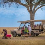 Kenya Safari Tipping Customs and Amounts Guide -- Photo by 伟达 严 on Pexels
