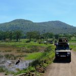 Best Time to Visit Aberdare National Park: By Season -- Photo by Mary Rose Relente on Pexels