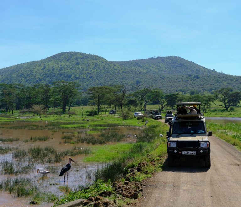 Best Time to Visit Aberdare National Park: By Season -- Photo by Mary Rose Relente on Pexels