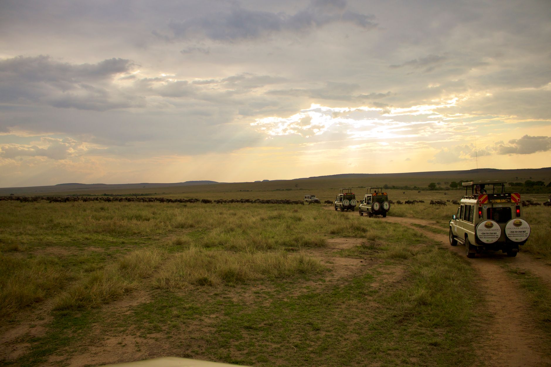 Kenya Safari Planning for German Speakers: 2026 Guide -- Photo by Edgar Okioga on Pexels