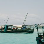 Diani Beach Versus Watamu Snorkeling: Which Wins? -- Photo by Ben Iwara on Pexels