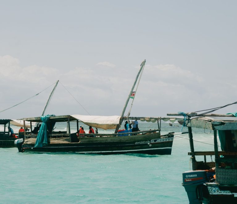 Diani Beach Versus Watamu Snorkeling: Which Wins? -- Photo by Ben Iwara on Pexels