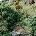 Ngong Hills hiking guide near Nairobi: 7 trail tips -- Photo by Eslam Mohammed Abdelmaksoud on Pexels