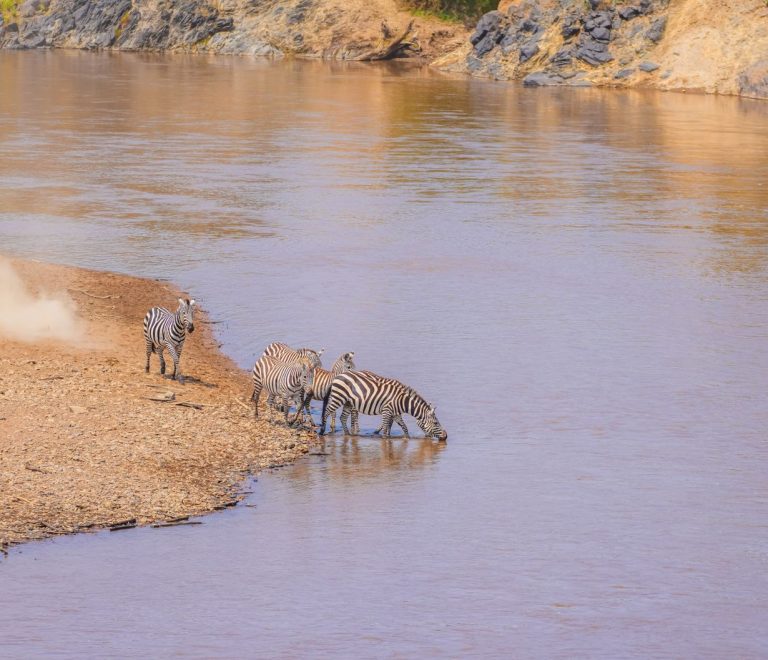 Masai Mara Private Conservancy Costs: $50-$150 -- Photo by Alex Ning on Pexels