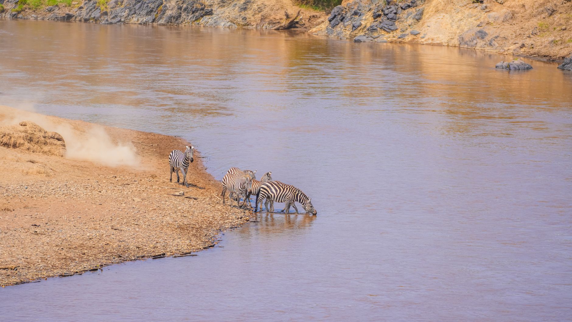 Masai Mara Private Conservancy Costs: $50-$150 -- Photo by Alex Ning on Pexels