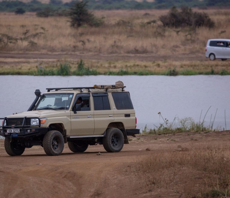 Kenya Safari by Road or Bush Flight: Which Is Better? -- Photo by Twilight Kenya on Pexels