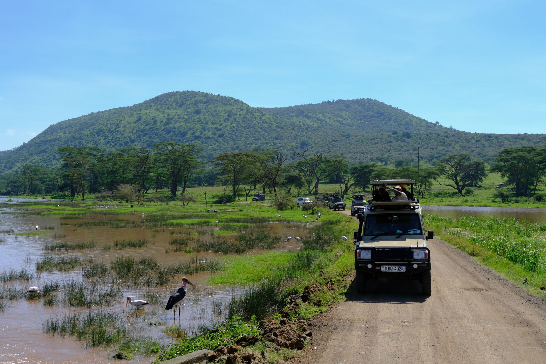 Kenya Safari Parks with Lowest Vehicle Density -- Photo by Mary Rose Relente on Pexels