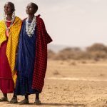 Masai Mara Travel Guide for Punjabi Speakers -- Photo by Kureng Workx on Pexels