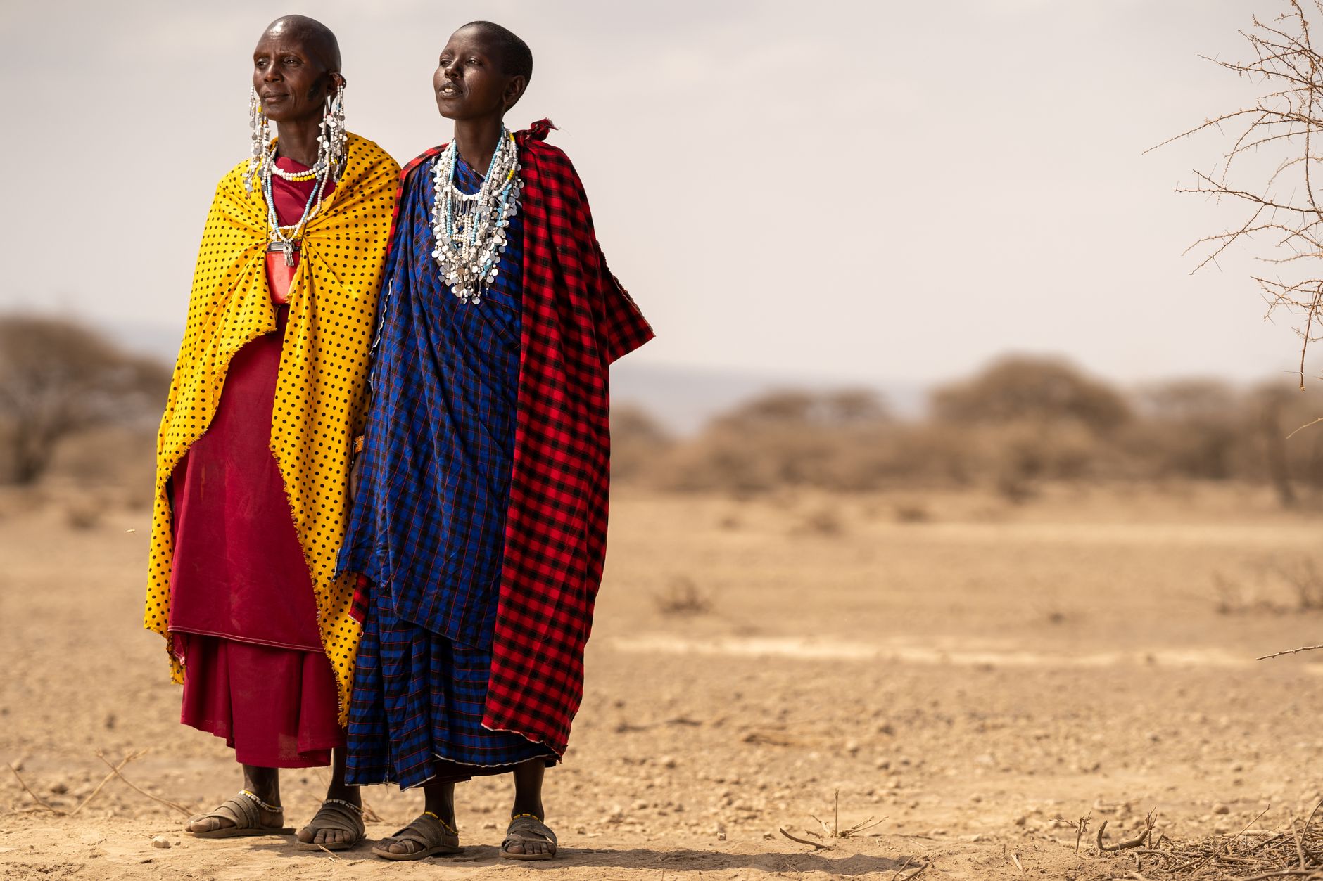 Masai Mara Travel Guide for Punjabi Speakers -- Photo by Kureng Workx on Pexels