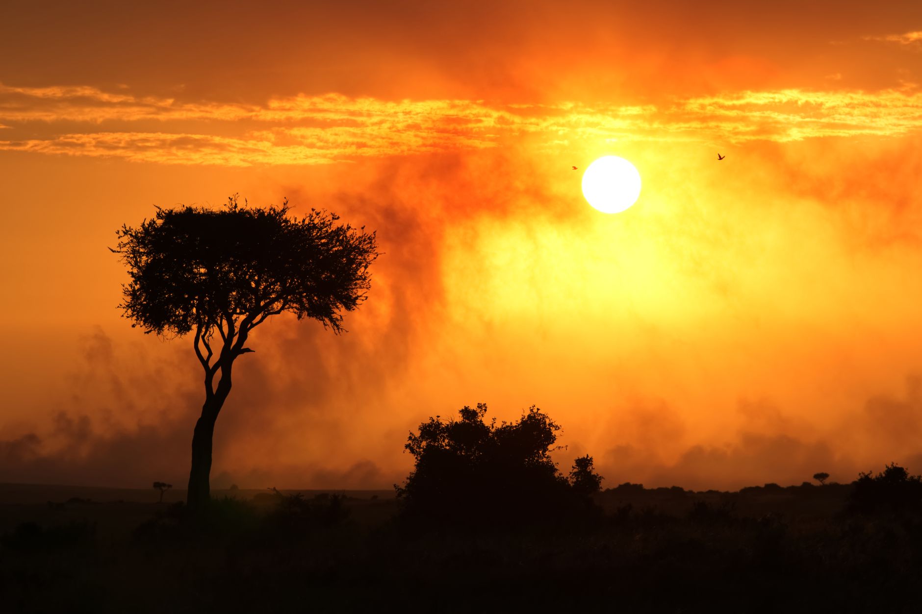 Masai Mara Safari Night Photography: Settings & Ethics -- Photo by Image Noise on Pexels