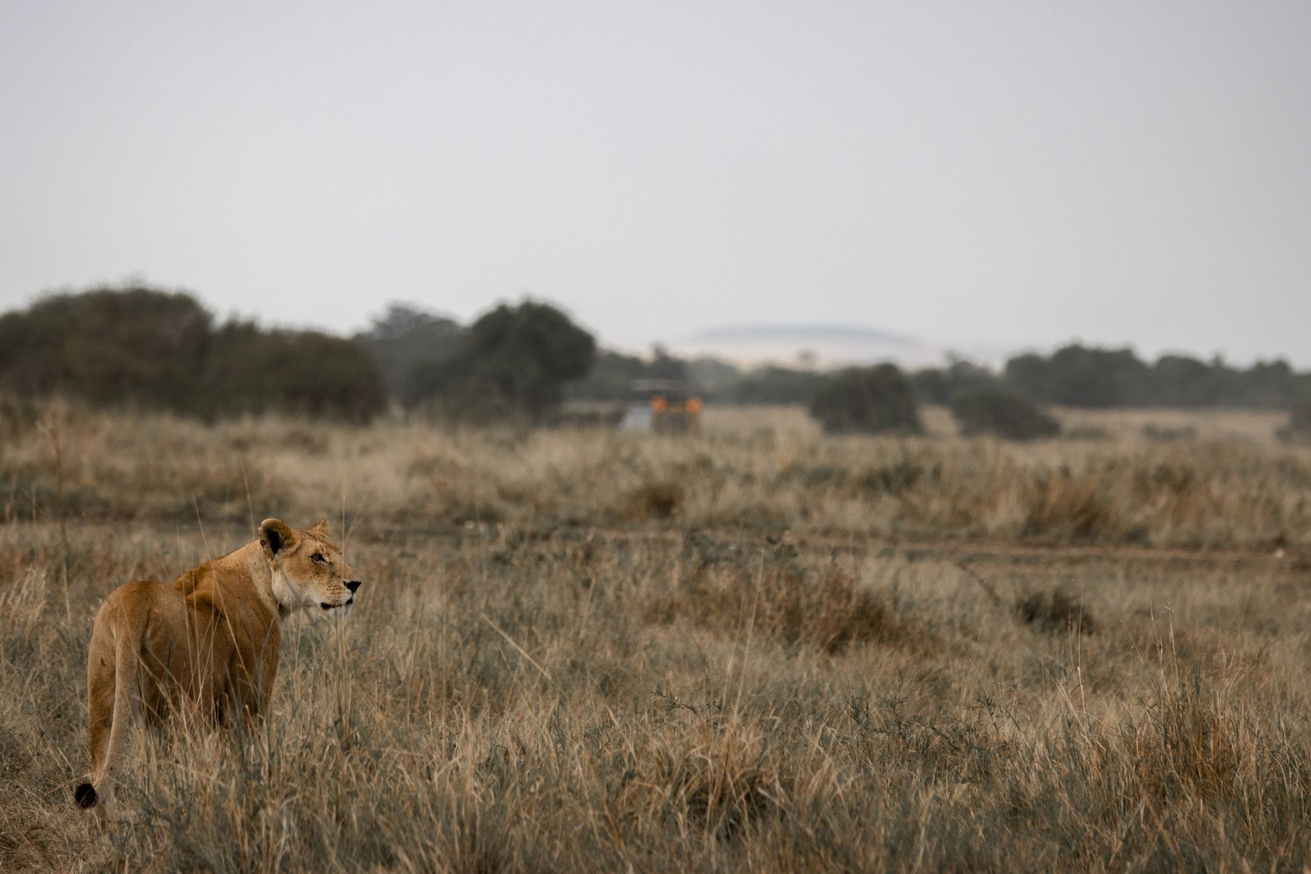 Kenya Safari Rainy Season Road Advice: Stay Safe -- Photo by Vishva Patel on Pexels