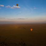 Kenya Safari Great Migration Viewing Areas by Season -- Photo by Zebari Visuals on Pexels