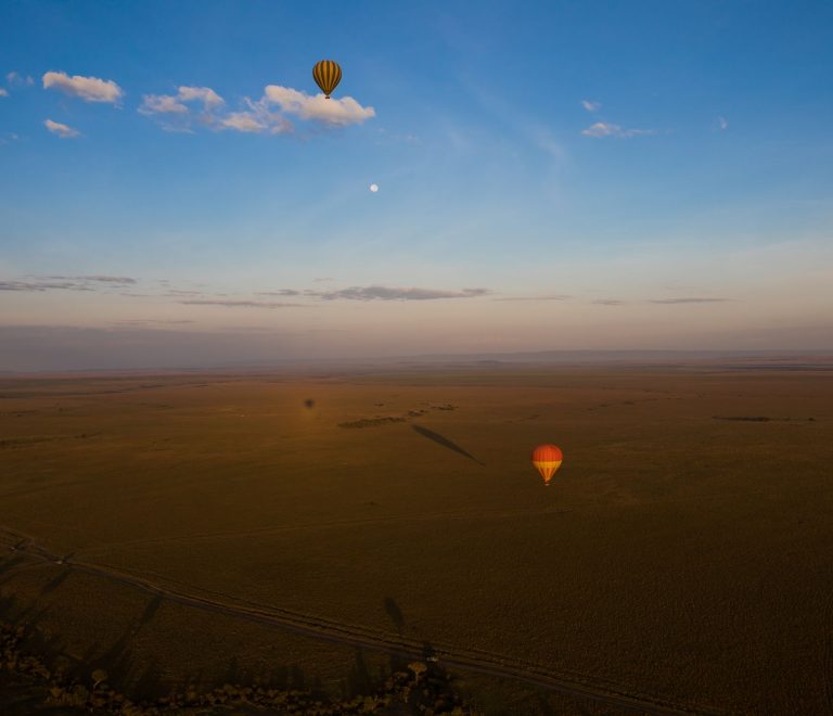Kenya Safari Great Migration Viewing Areas by Season -- Photo by Zebari Visuals on Pexels