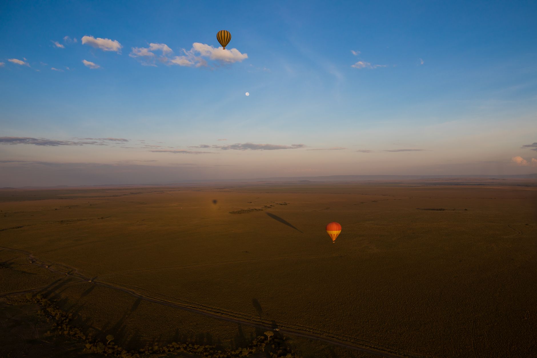 Kenya Safari Great Migration Viewing Areas by Season -- Photo by Zebari Visuals on Pexels